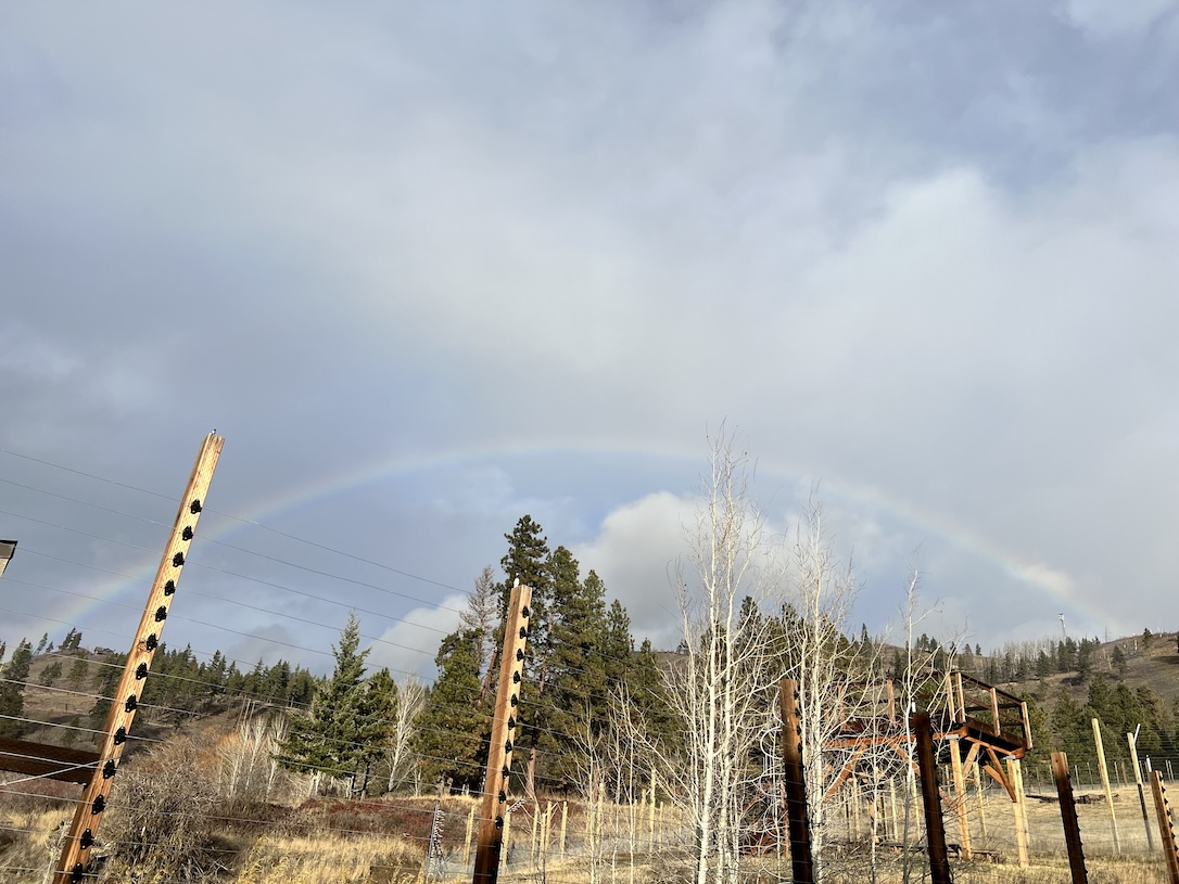 web_YH_rainbow_aw_IMG_3078