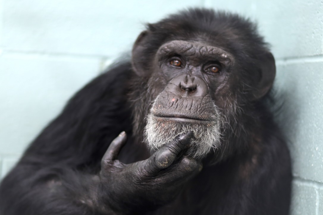 web_Cy_pondering_thinking_man_FR7_CD_IMG_1841