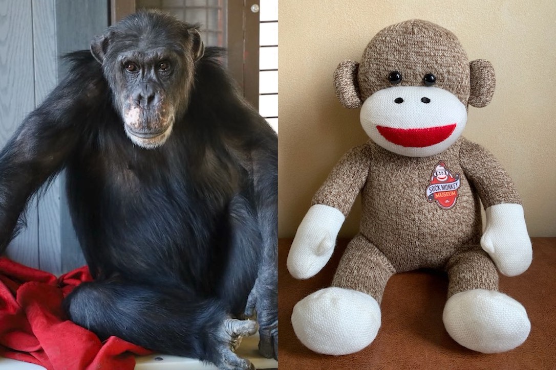 burrito_sock_monkey_museum_combined