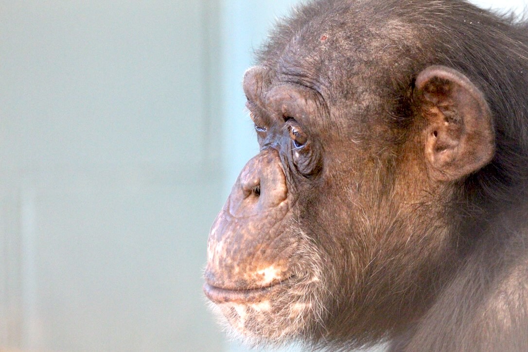 web_Dora_closeup_pr3_aw_IMG_0082
