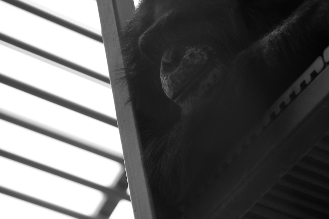 web_Terry_look_down_platform_gh2_aw_IMG_4059