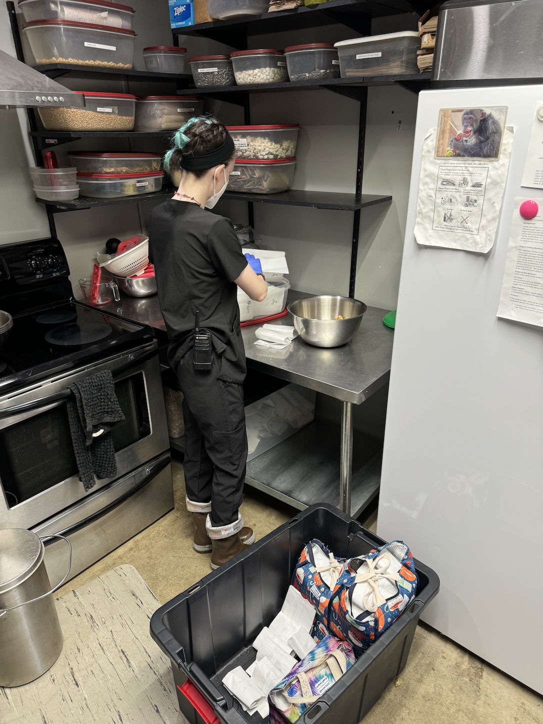 Katie_ChowBags_Kitchen_KLB_IMG_5464