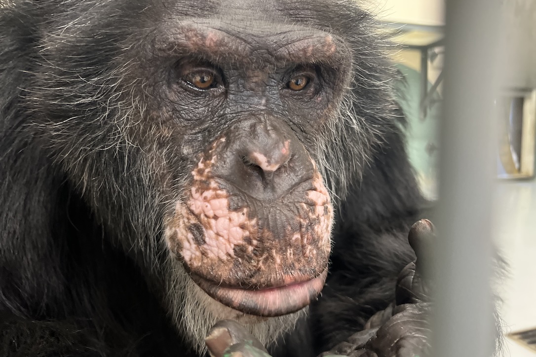 web_Terry_closeup_fr5_aw_IMG_6229