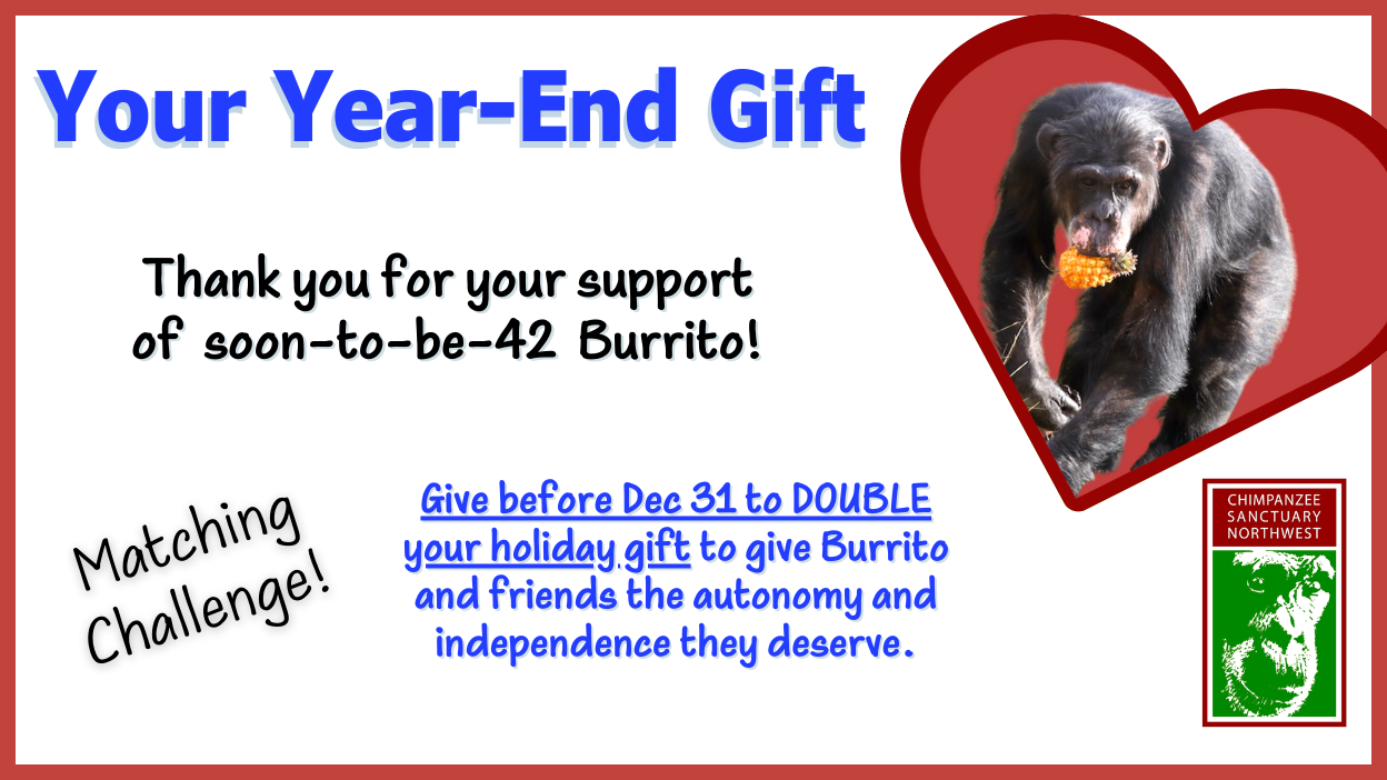 Year End image for Fundraise Up