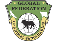 global-federation