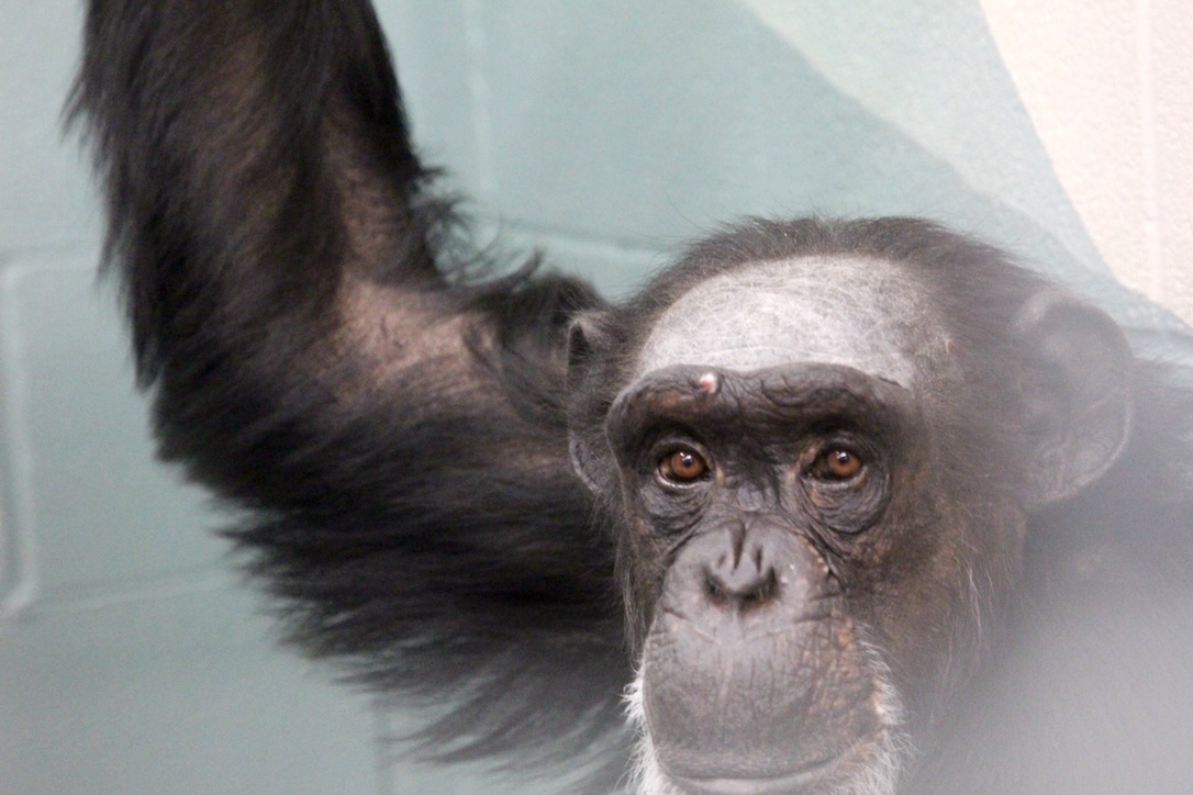 web_Rayne_closeup_fr7_aw_IMG_7319