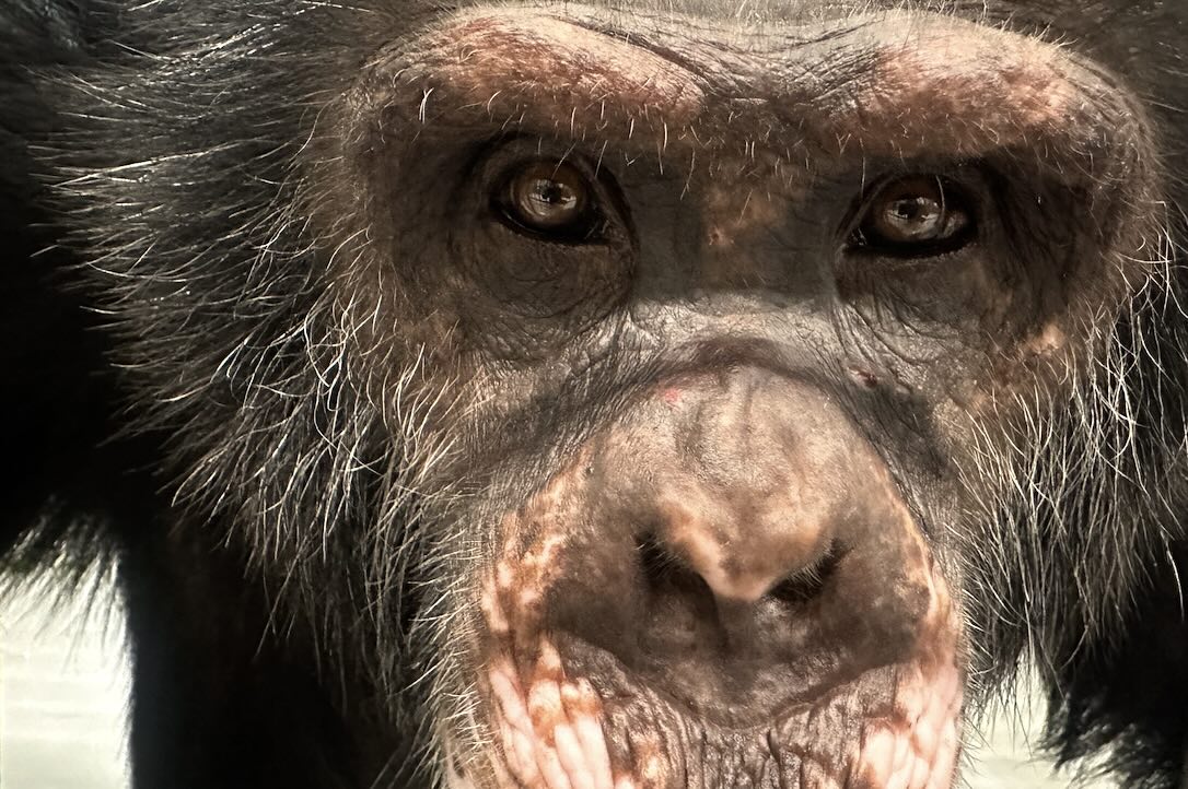 web_Terry_close-up_eyes_dg_IMG_6395