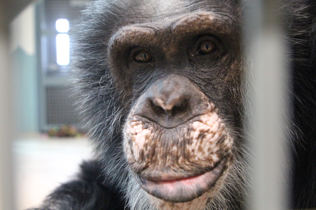 web_Terry_closeup_pr3_AW_IMG_7466-1